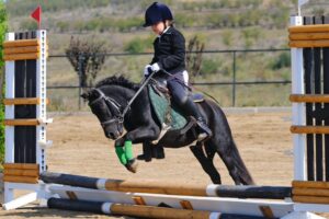 Конный спорт для детей польза и вред: плюсы и минусы верховой езды