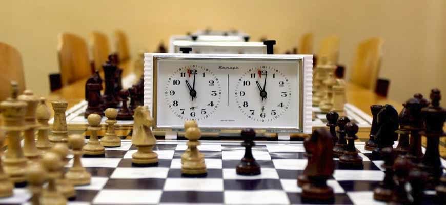 485 000 рублей в год — именно во столько обойдется воспитание ребенка-чемпиона по шахматам