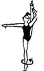 Правила по художественной гимнастике: индивидуальные соревнования